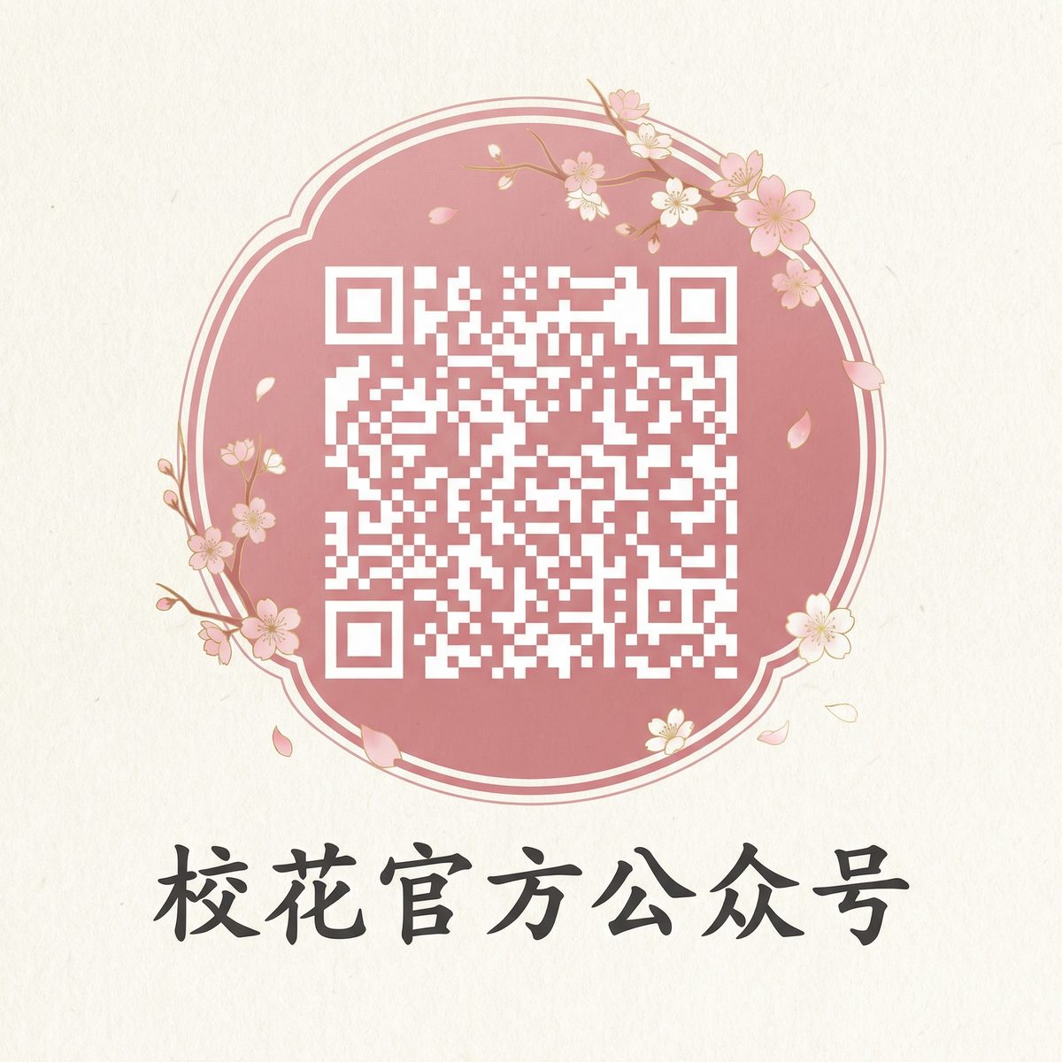 四虎传媒微信公众号二维码扫码关注
